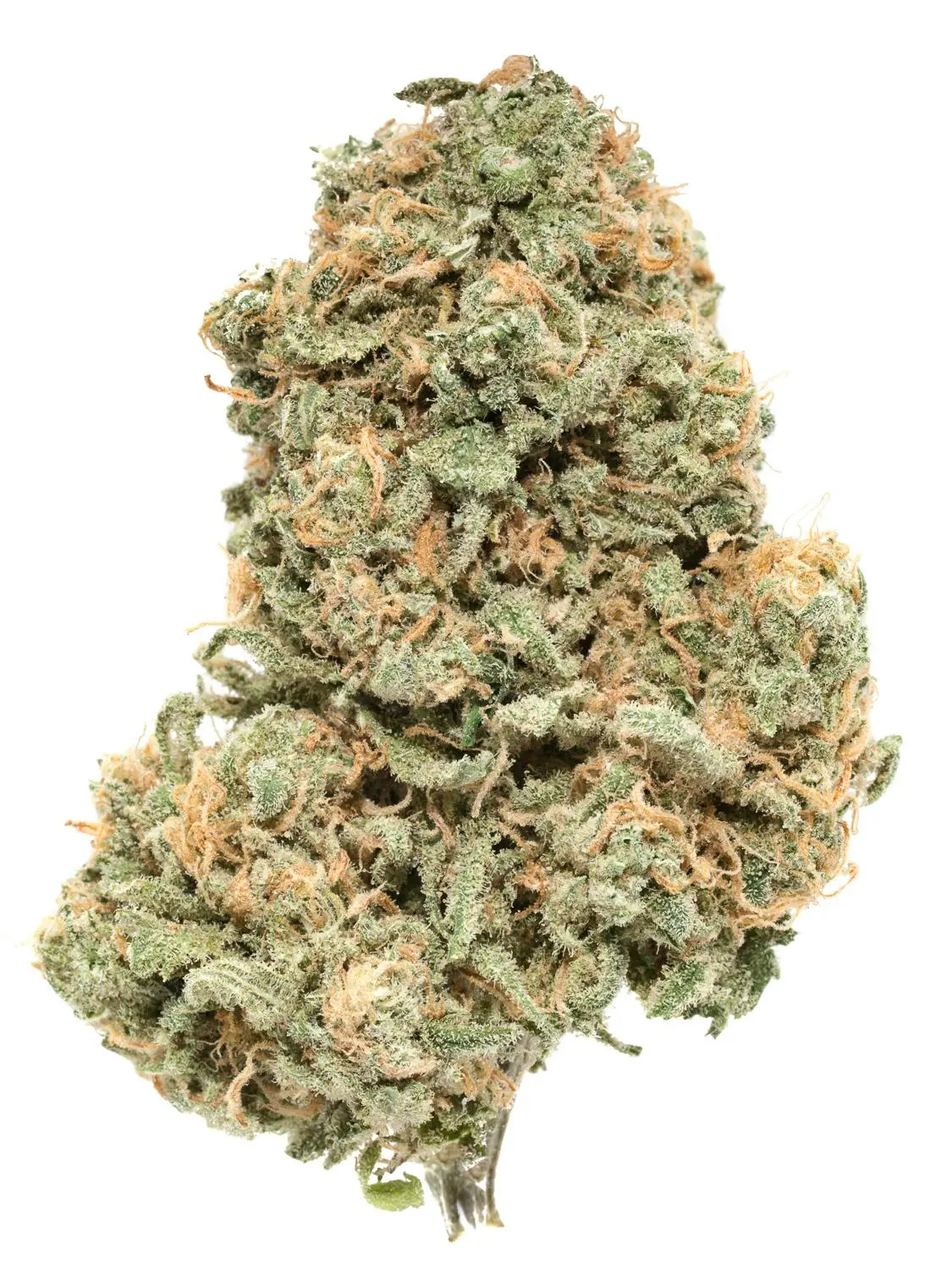 Strawberry Cough weed