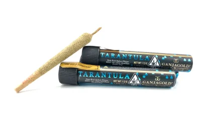 Ganja Gold/Blue Tarantula